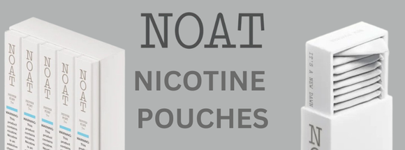 NOAT Nicotine Pouches: A Softer, Cleaner Direction in the Pouch Market