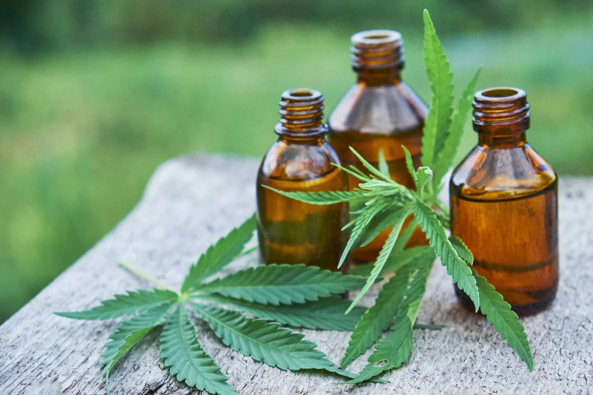 Is CBD the Holy Grail to Unlock Ultimate Health in Our Life?