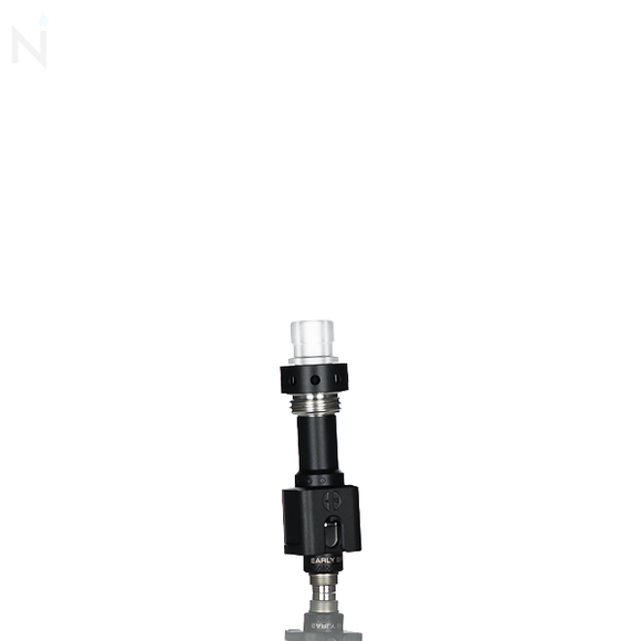 Early Bird Serin Boro RBA