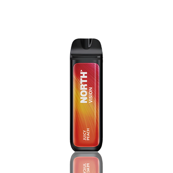 North Vision 15000 Puffs Disposable - 15mL