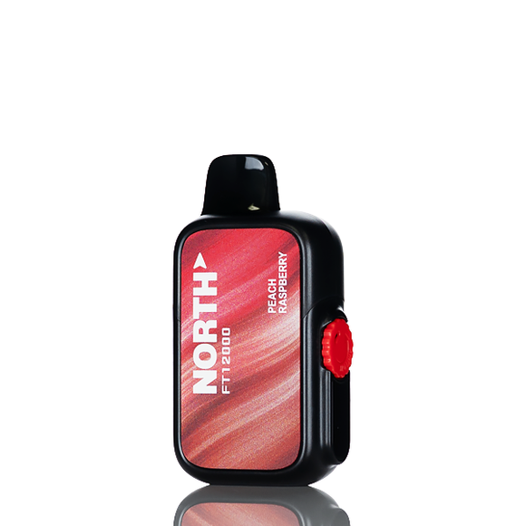 North FT12K 12000 Puffs Disposable Vape