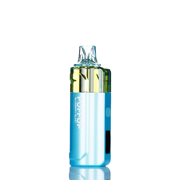 Puffup 25K 25000 Puffs Disposable Vape - 15mL