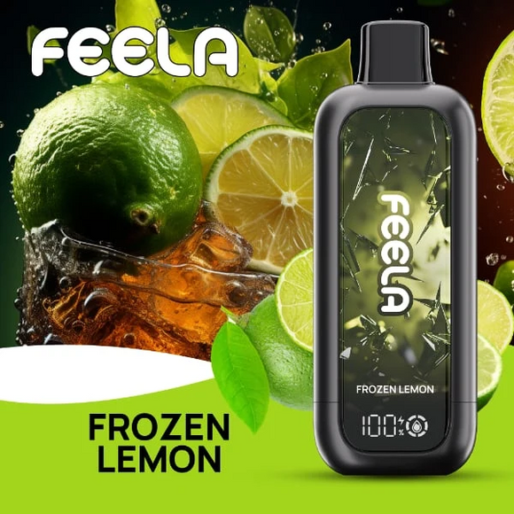 FEELA NIC 40K Disposable Vape