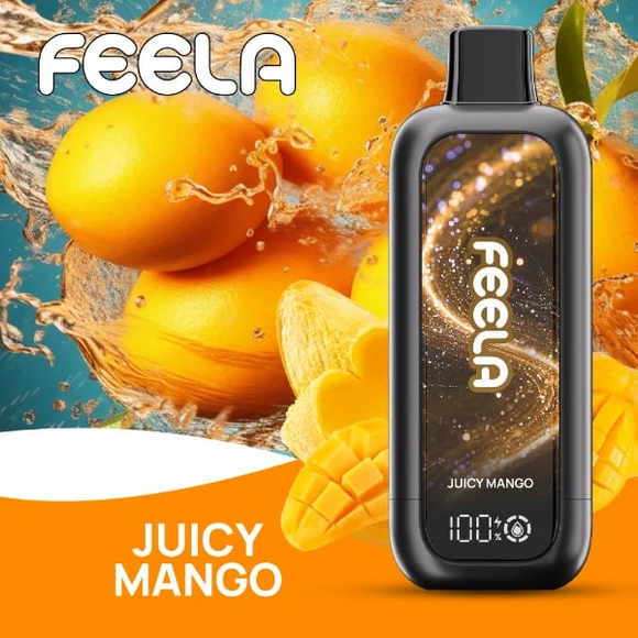 FEELA NIC 40K Disposable Vape