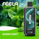 FEELA NIC 40K Disposable Vape-5