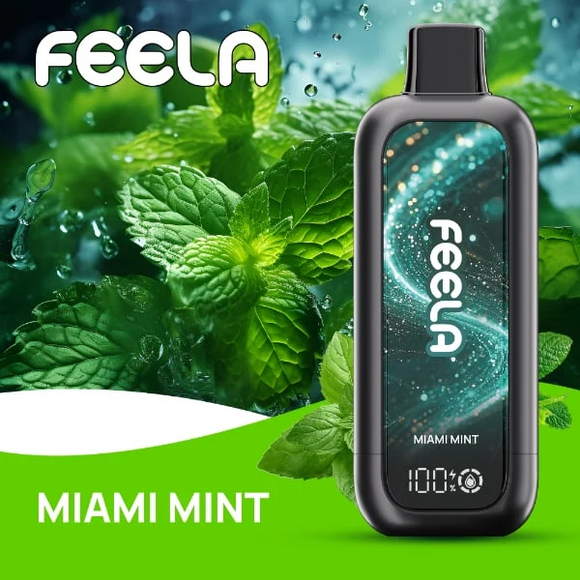 FEELA NIC 40K Disposable Vape