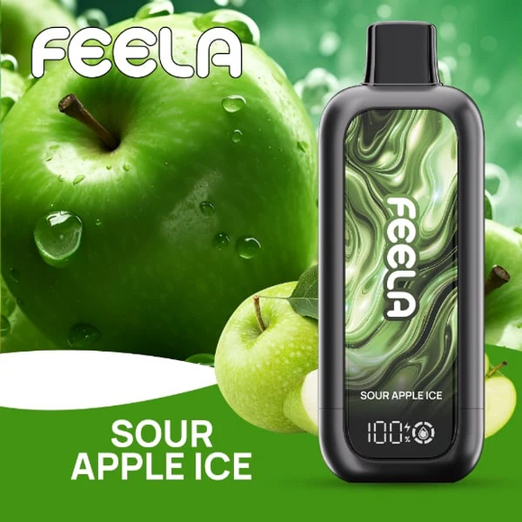 FEELA NIC 40K Disposable Vape