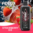 FEELA NIC 40K Disposable Vape-2