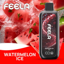 FEELA NIC 40K Disposable Vape-3