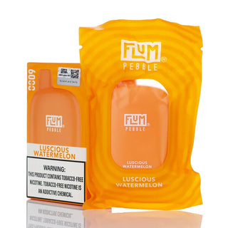 Flum Pebble 6000 Puffs Rechargeable Disposable Vape - 14ML