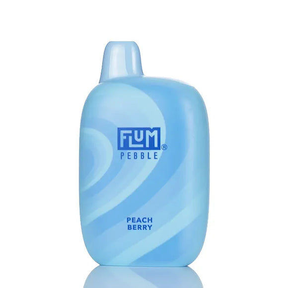 Flum Pebble 6000 Puffs Rechargeable Disposable Vape - 14ML