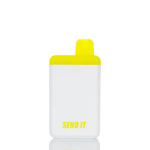 Send It 5000 Puffs Rechargeable Disposable Vape - 12ML