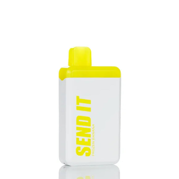 Send It 5000 Puffs Rechargeable Disposable Vape - 12ML